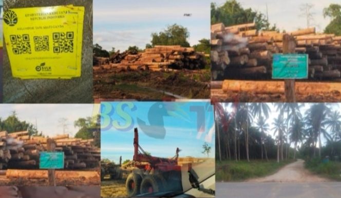 
 Klarifikasi Dinanti, Aktivitas Kayu Log Kelompok Tani Asati Ganda Jadi Sorotan