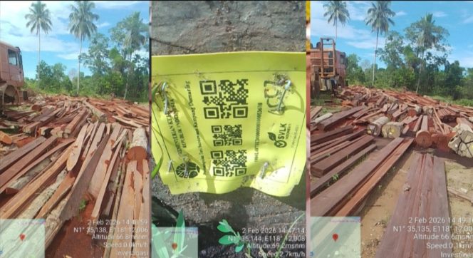 
 Temuan Olahan Kayu Ulin Berlabel Kehutanan di Logpond Sungai Bakil  Dumaring, Talisayan Berau