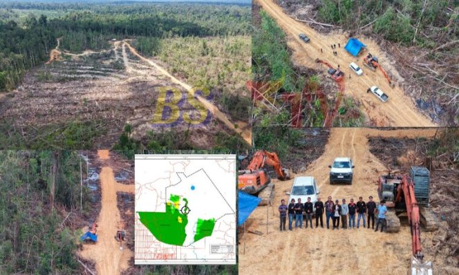 
 Berau Geger! Oknum DPRD dan Eks Camat Terseret Kasus Penggundulan Hutan Ilegal di Kawasan PT SAKA
