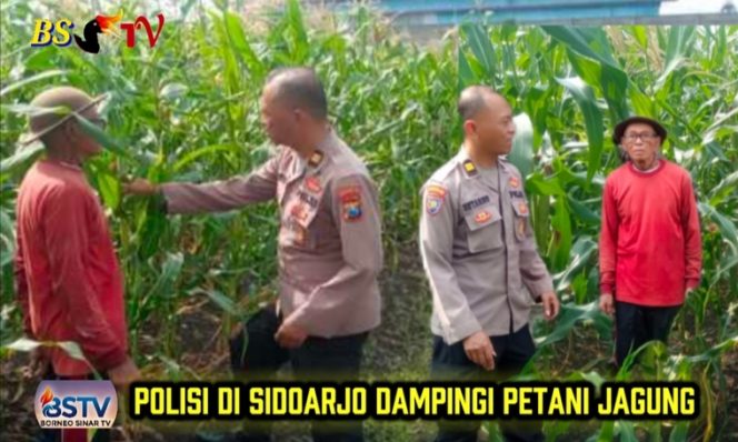
 Polisi Cinta Petani  Kanit Binmas Polsek Buduran Perkuat Ketahanan Pangan Bersama Warga Sukorejo