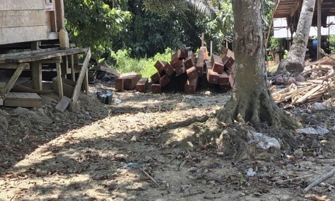 
 Diduga Tampung Kayu Ilegal di diduga ditalisayan Perizinan Somel Dipertanyakan