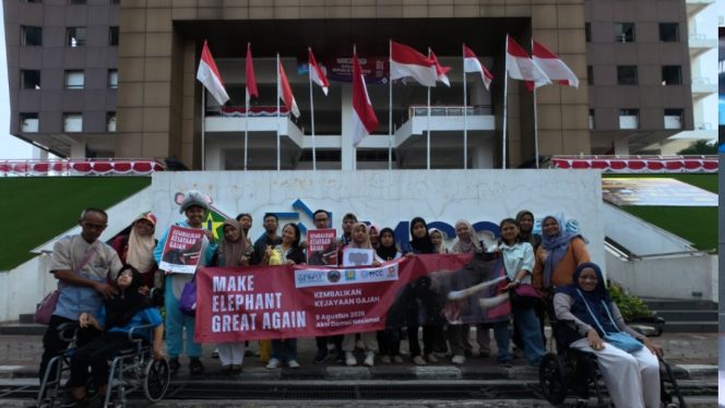 
 Hari Gajah Sedunia 2026: Difpala, LINKSOS, dan Geopix Gelar Pentas Seni Inklusif